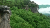 PICTURES/Endless Wall Trail - New River Gorge/t_Endless Wall3.JPG